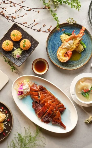 XIN CUISINE CHINESE RESTAURANT MOBILE