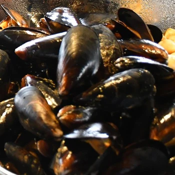 Japanese Sweet Clams