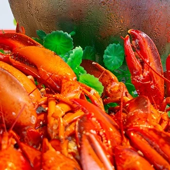 Baby Yabbies Lobster